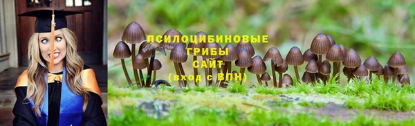 гидропоника Осташков