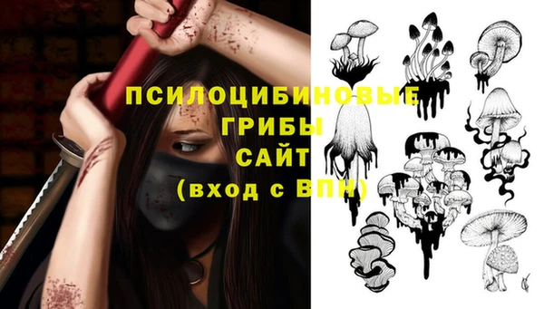 молекула духа Балахна