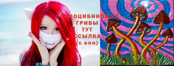 молекула духа Балахна