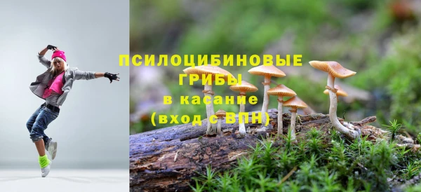 гидропоника Балабаново